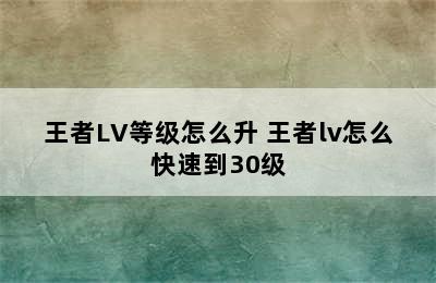 王者LV等级怎么升 王者lv怎么快速到30级